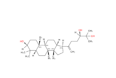 Goma Dammar Pro-análisis
