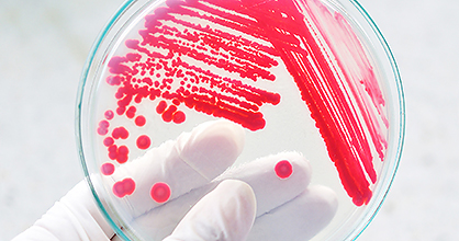 Microbiologia